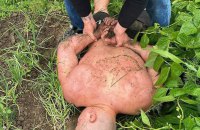 Поліція встановила причетних до нападу на ексвійськового у Дніпрі
