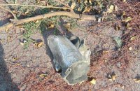 Сили ППО знищили три ракети ворога над Запоріжжям