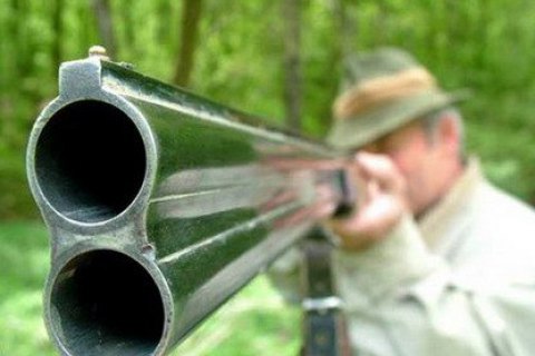 Житель Вышгорода на охоте застрелил племенную лошадь стоимостью 50 тыс. евро