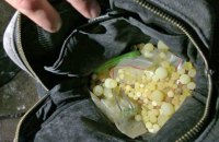 В Ровенской области правоохранители изъяли наркотиков на 1,5 млн гривен и 80 кг янтаря