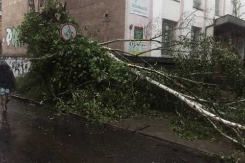 Негода дісталась Рівного, очевидці повідомляють про падіння дерев на автомобілі