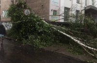 Негода дісталась Рівного, очевидці повідомляють про падіння дерев на автомобілі