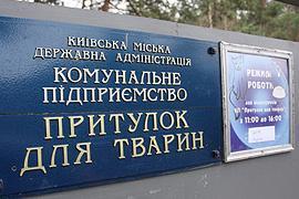 ​Киевское руководство вновь готовится кормить киевлян псиной