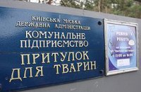 ​Киевское руководство вновь готовится кормить киевлян псиной