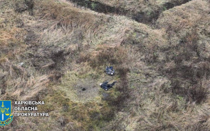 На Харківщині двоє чоловіків підірвались на міні