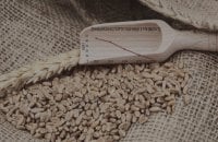 Розвідка: в Росії обвалився експорт пшениці