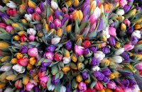 В Харькове обокрали цветочный киоск