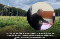 На Тернопільщині службовця підозрюють у тому, що він допустив незаконну рубку дерев на 57 млн грн