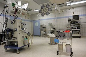 97-летняя американка устроилась на работу
