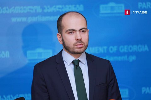 Грузинська опозиція побачила сигнал Заходу у зустрічі глав МЗС Росії і Грузії