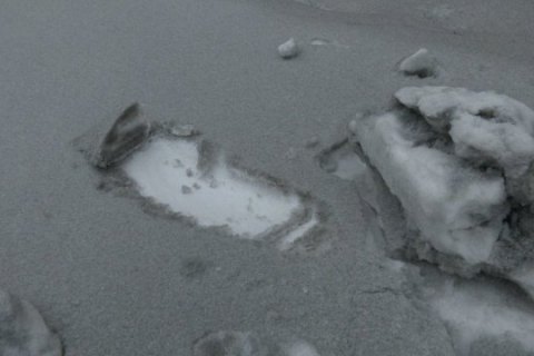 Шмигаль визнав, що "чорний" сніг у Бурштині є наслідком роботи ТЕС