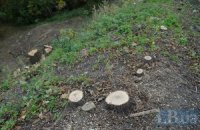 Жители Севастополя отсудили сосновую рощу у горсовета