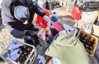 СБУ напомнила украинцам, как противодействовать врагу: делайте коктейли Молотова, сообщайте о войсках РФ и помогайте армии