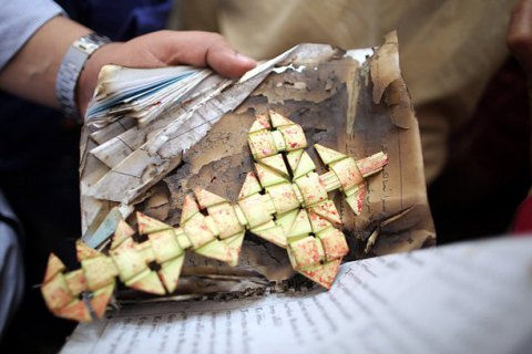 В Египте продлили режим чрезвычайного положения