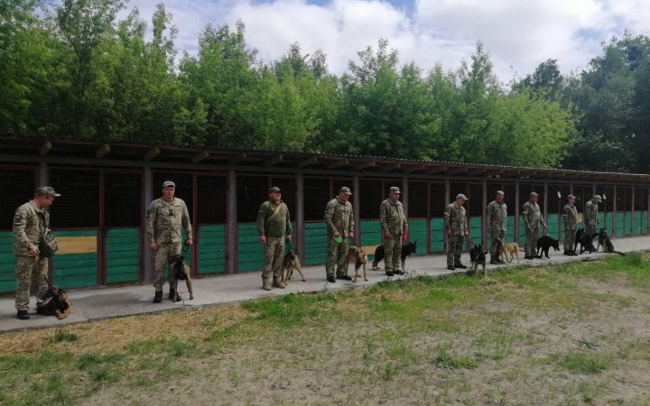 Для захисту українського кордону Кінологічна спілка передала ДПСУ 14 вівчарок