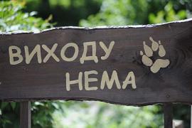 Защитники животных советуют закрыть зоопарк в Киеве и продать землю