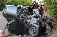 Двое людей погибли в ДТП возле Винницы из-за кота