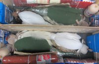 Пограничники обнаружили четырех соколов среди багажа в аэропорту "Борисполь"