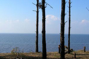 Киевское водохранилище очищают к "Формуле-1"