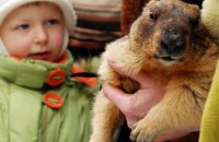 Харьковский сурок Тимка предсказал теплую весну и безвиз, но не сразу