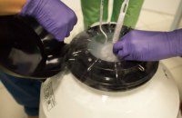«Знищити ембріони за три місяці»: Асоціація репродуктологів виступила проти законопроєкту МОЗ, якого публічно ще не існує 