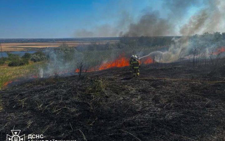 Минулої доби в Україні горіло майже 118 гектарів сухостою та пшениці