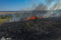 Минулої доби в Україні горіло майже 118 гектарів сухостою та пшениці