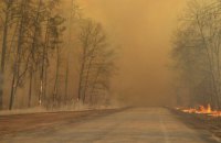 У Чорнобильській зоні сьомий день гасять лісову пожежу