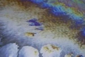 В Керченском проливе обнаружено нефтяное пятно