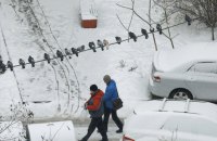Січень в Києві був теплішим за кліматичну норму