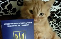 У Києві за рік через ЦНАПи зареєстрували 2 486 собак і 295 котів