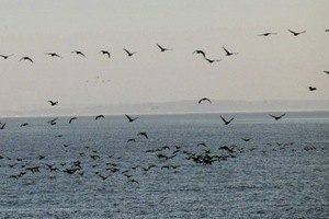 Взрыв в море вблизи Мариуполя произошел рядом с российским кораблем (обновлено)