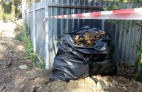Массовое захоронение жертв политрепрессий обнаружили в Ивано-Франковске