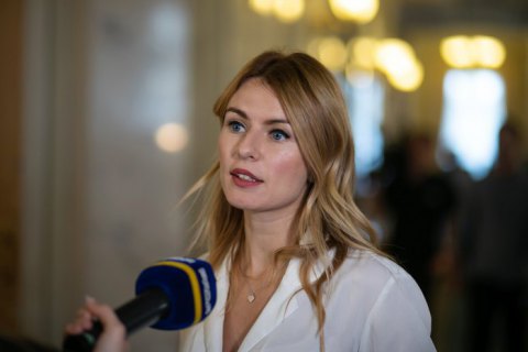 Реформаторам екологічної сфери бракує даних від міністерств та відомств, - Василенко