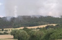 ​Масштабна лісова пожежа спалахнула на колишньому військовому полігоні у Німеччині