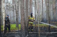 На Житомирщині четверту добу триває гасіння масштабної лісової пожежі 