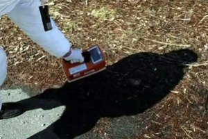 Уровень радиации в 80 километрах от АЭС "Фукусима-1" превышает норму в 1000 раз