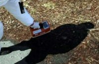 Уровень радиации в 80 километрах от АЭС "Фукусима-1" превышает норму в 1000 раз