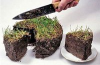 Зембанку могут разрешить покупать землю в обход моратория