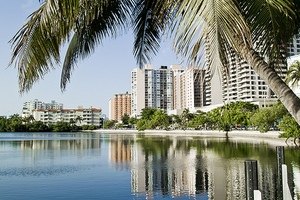 В Майами рухнул в воду спорт-бар: 33 пострадавших