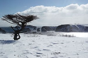 Япония перестала называть Россию оккупантом