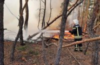 Пожежі в Луганській області: Кабмін відмінив тендер на закупку обіцяних пожежних машин