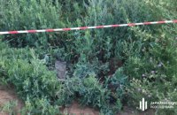 У ДБР розповіли деталі затримання співробітників СБУ за напад на прикордонників на Сумщині