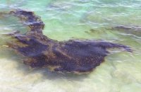 Море в Крыму покрылось неизвестными пятнами