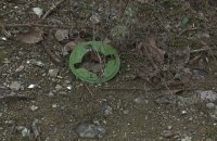 Трое военных ранены на Донбассе с начала суток