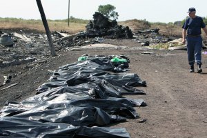 Рятувальники завершили пошуки тіл на місці катастрофи "Боїнга"