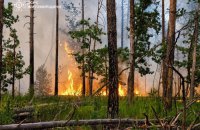 На Житомирщині ліквідували пожежу, яка тривала 4 дні