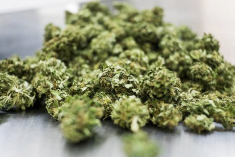 Сотрудник СБУ продавал марихуану жителям Донецкой области 