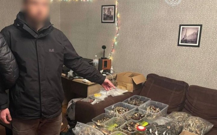 ​У Києві викрили торгівця шоколадом з психотропними грибами 