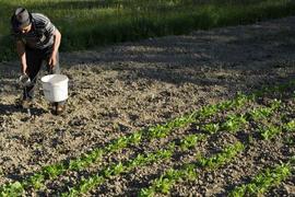 Арабы ждут отмены в Украине моратория на продажу земли